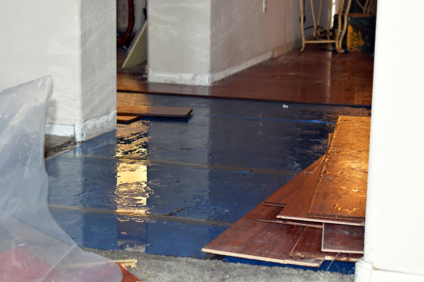 Professional Burst Pipe Water Damage technician working in Montpelier Station, VA